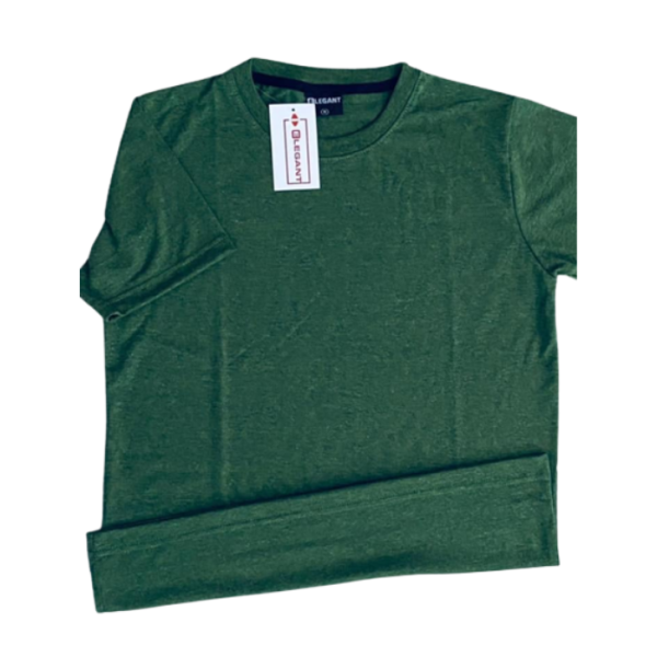 Elegent Plain Color T Shirt Green